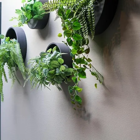 Moeke Mooren Hotel 4*